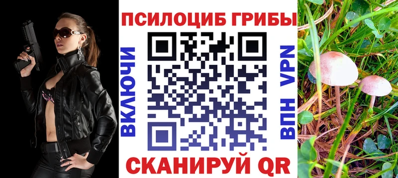 Псилоцибиновые грибы Psilocybe дарк нет телеграм Россошь купить наркоту